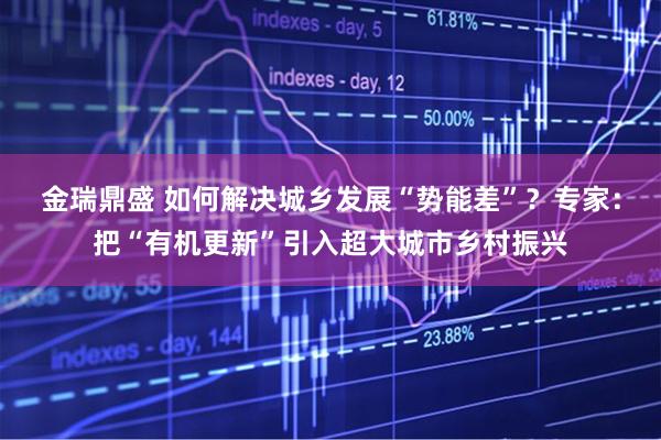 金瑞鼎盛 如何解决城乡发展“势能差”？专家：把“有机更新”引入超大城市乡村振兴