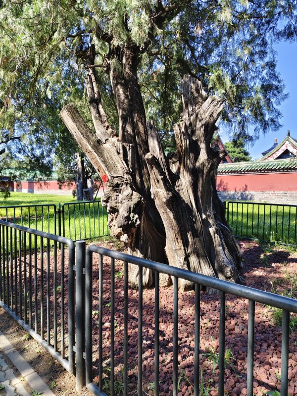 易操盘 明北京天地坛是在元郊坛遗址上修建的吗？