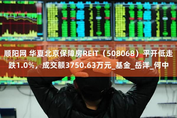 顺阳网 华夏北京保障房REIT（508068）平开低走跌1.0%，成交额3750.63万元_基金_岳洋_何中